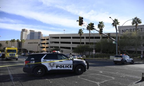 Vegas Police Stop School Shooting Threat, Arrest Suspect