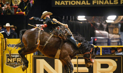 Horse Virus Outbreak Casts Shadow Over Las Vegas’ Biggest Rodeo of the Year