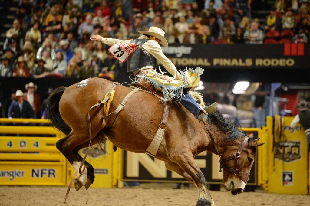 NFR 2025 horse virus