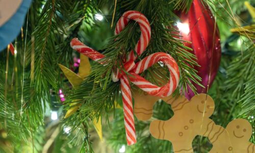 Las Vegas Makes Top 5 Best Cities for Christmas in National Ranking