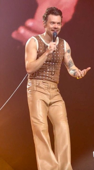 Zayn Malik Raises Eyebrows After Apparent Harry Styles Shade at Vegas Residency