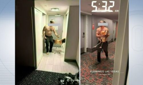 Canadian Tourist Arrested After Allegedly Stealing and Injuring Flamingo on Las Vegas Strip