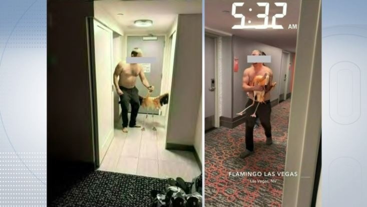 Canadian Tourist Arrested After Allegedly Stealing and Injuring Flamingo on Las Vegas Strip