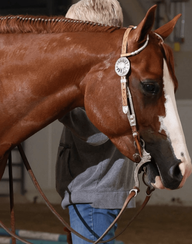 Police Arrest Teen After Three Horses Stabbed at Vegas Barrel Racing Event