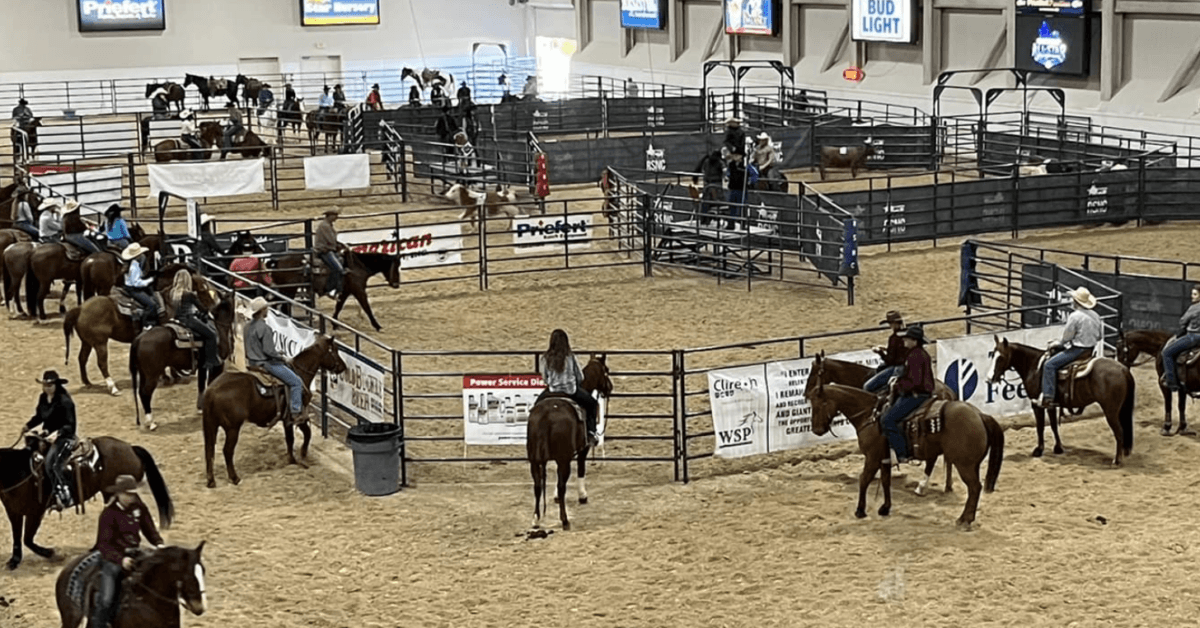 Police Arrest Teen After Three Horses Stabbed at Vegas Barrel Racing Event